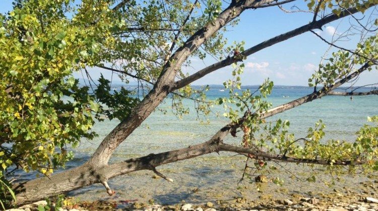 Settembre Settembre