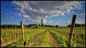 entroterra gardesano