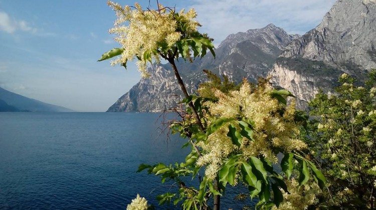 Settembre Settembre