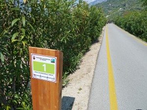 10 percorsi in bicicletta sul Lago di Garda puntata 2 