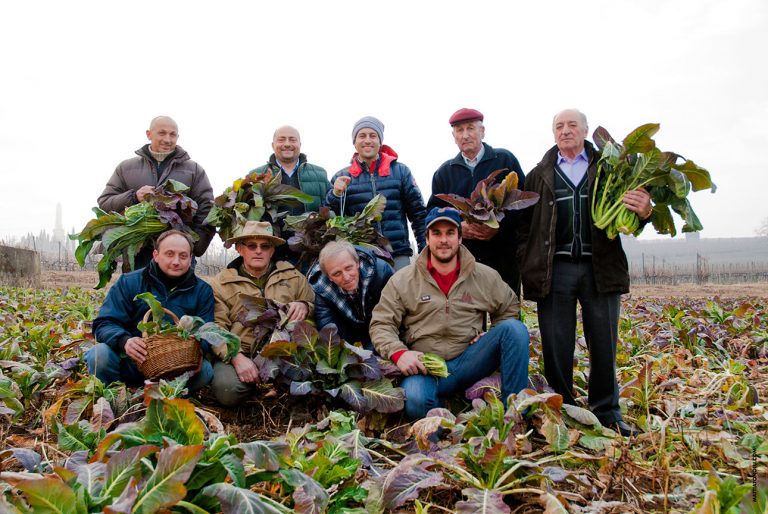 Broccoletto di Custoza Sgaialand magazine garda Outdoors