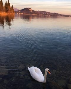 punta san vigilio simona cervato sgaialand magazine