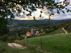 valpolicella sgaialand magazine giulia spagnol vigne vigneti food lago di garda magazine verona veronese vini wine travel