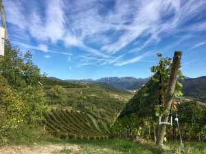 valpolicella sgaialand magazine giulia spagnol vigne vigneti food lago di garda magazine verona veronese vini wine travel
