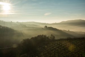 Valpolicella