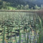 escursioni valle di ledro