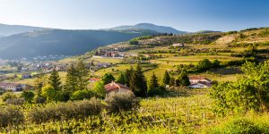 Valpolicella. Foto web.