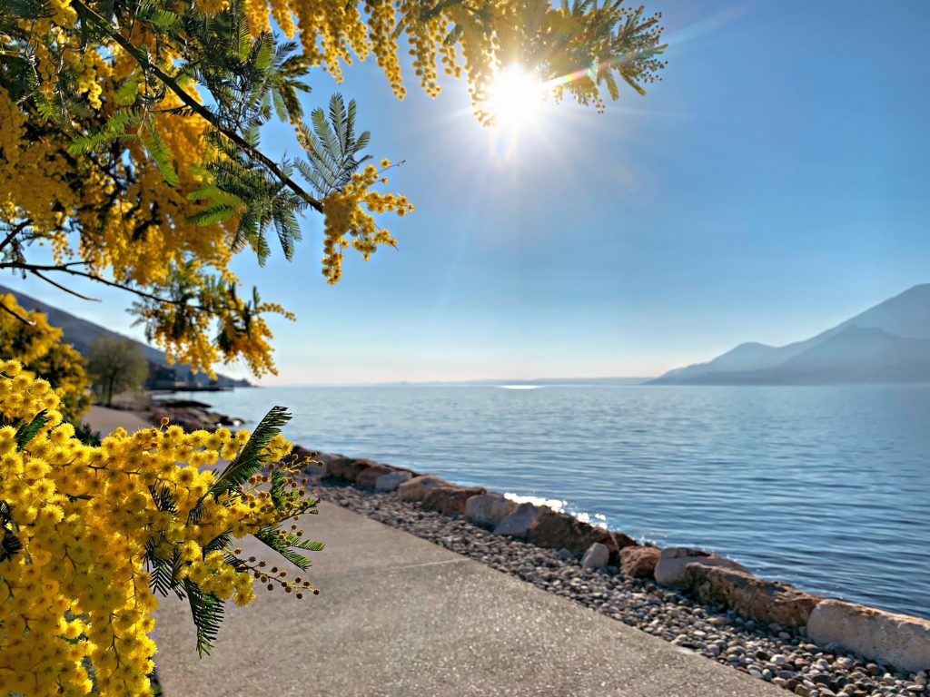A day along the north-eastern cycle/pedestrian path of Lake Garda. 
