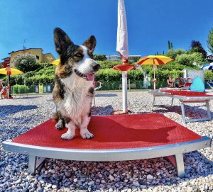 Spiagge per cani Lago di Garda - Braccobaldo beach Peschiera