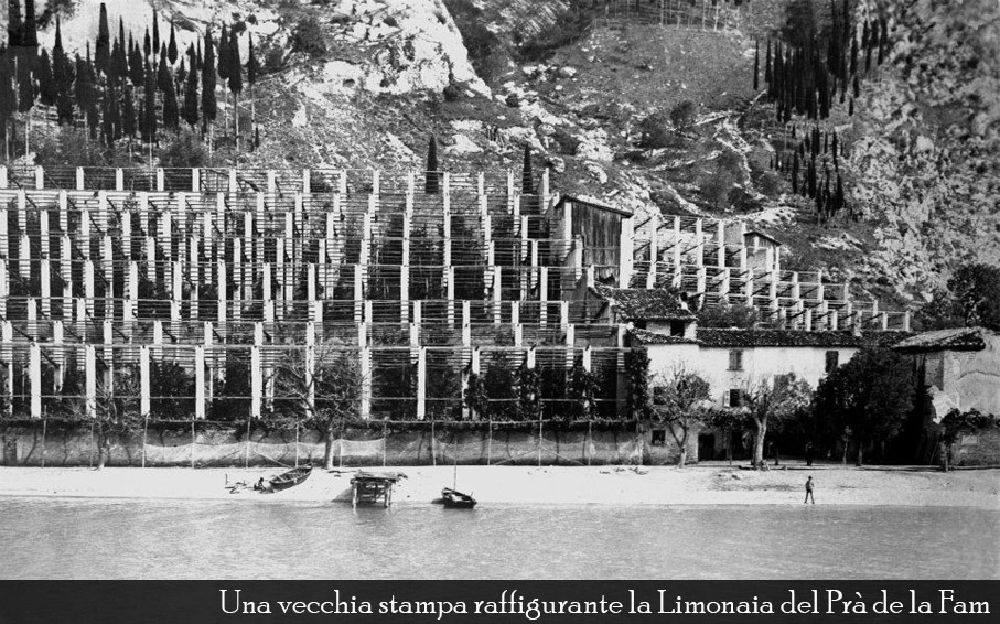 The lemon houses of Lake Garda and the Cedar of Salò. 