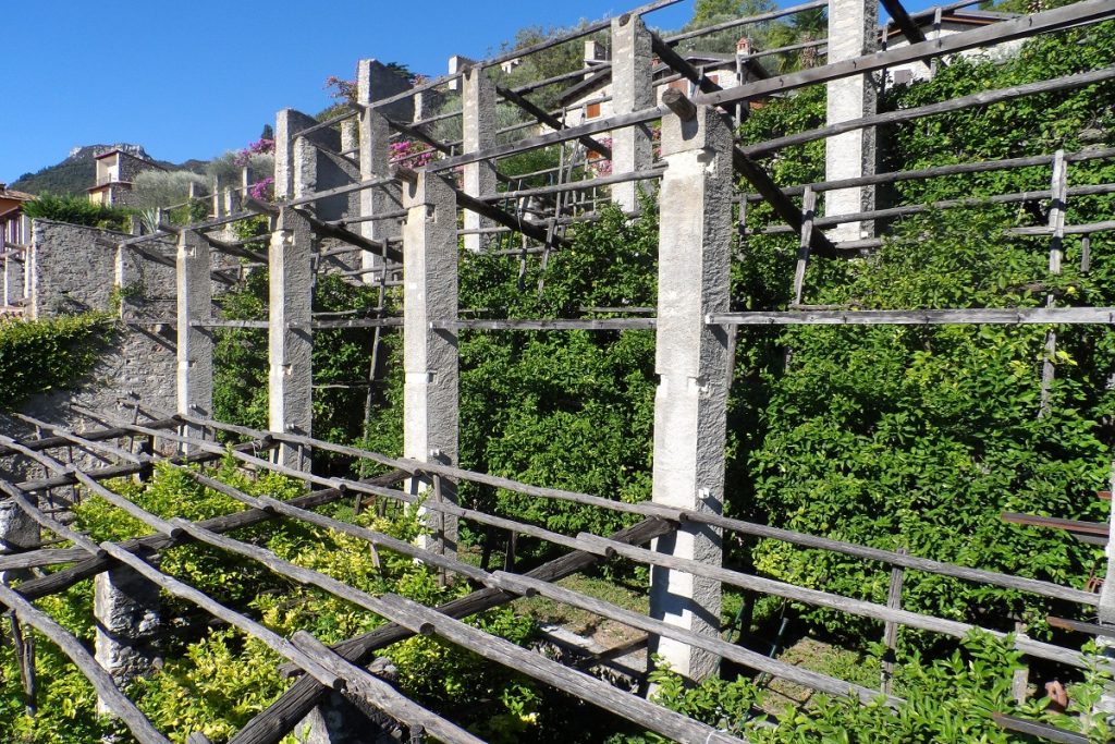 Le limonaie del Lago di Garda.