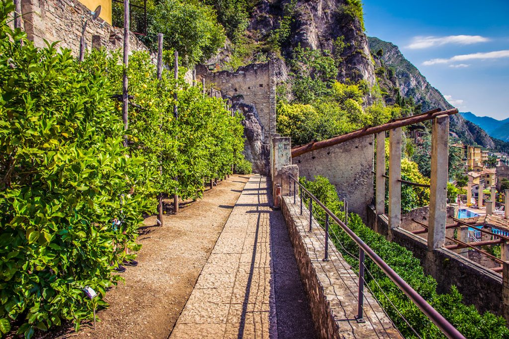 Le limonaie del Lago di Garda.