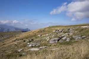 Parco Naturale Regionale della Lessinia