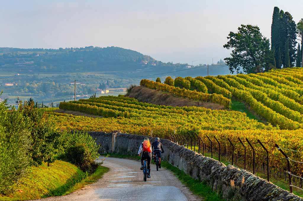 Valpolicella best wine regions to visit during your trip to Italy