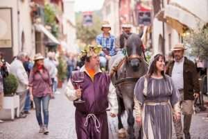 festa dell'uva e del vino - bardolino