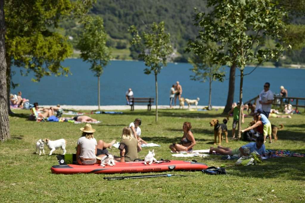 Equipped beaches for dogs and dog beach areas on Lake Garda. 