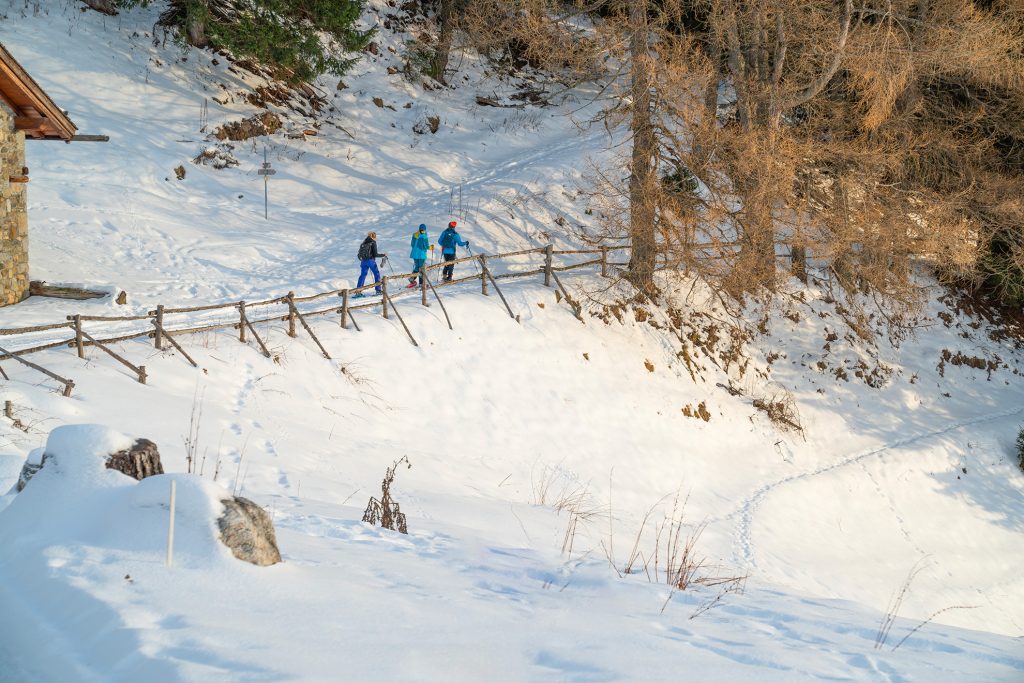 Ponte di Legno - Tonale