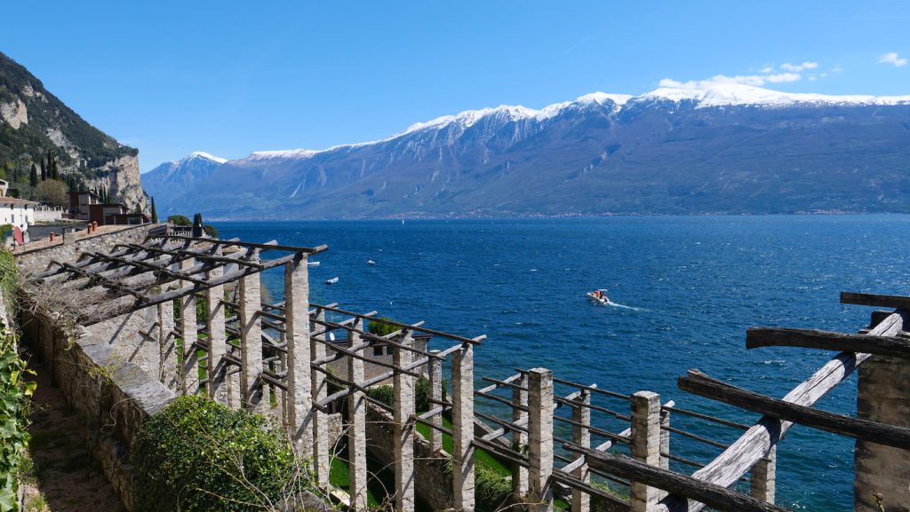 giardini d'agrumi