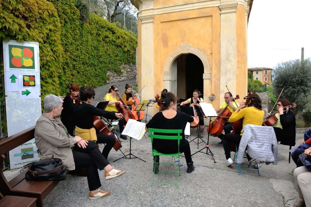 giardini d'agrumi