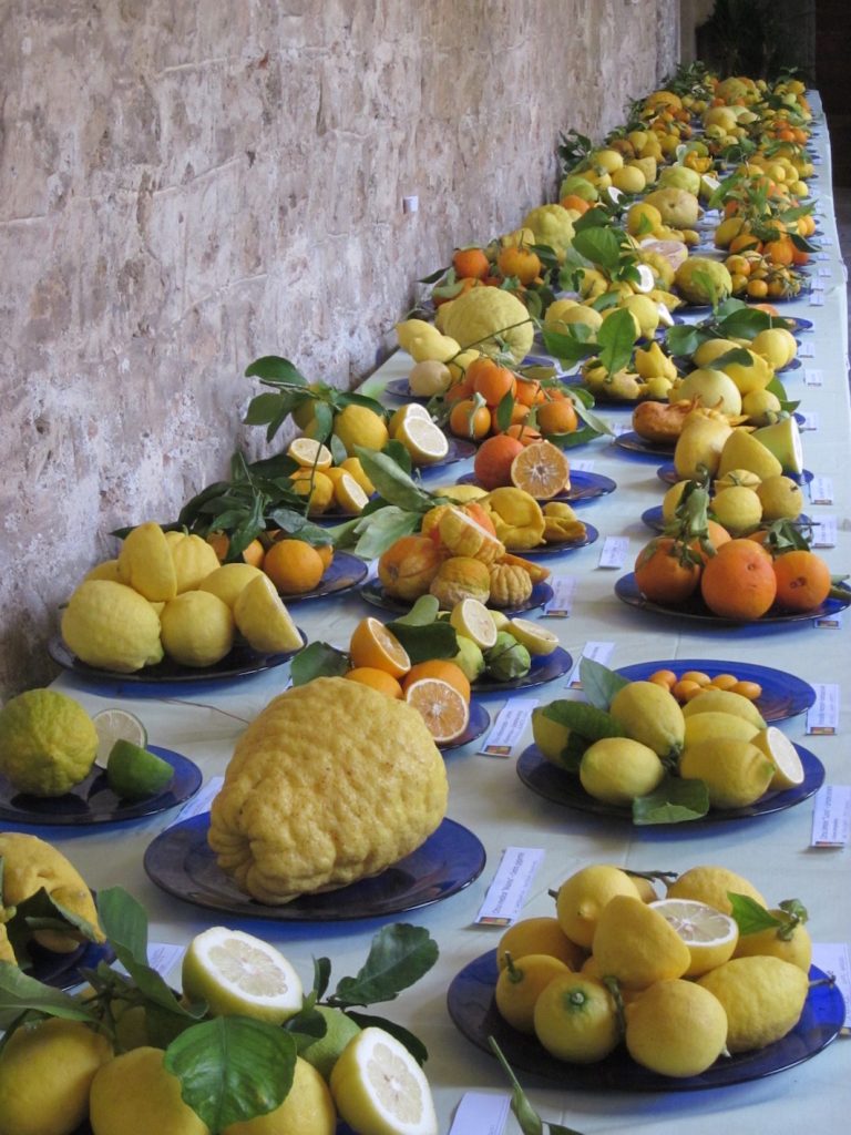 giardini d'agrumi