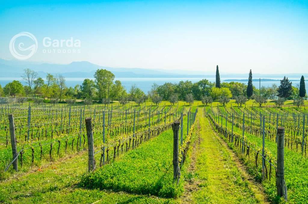 Padenghe Lago di Garda