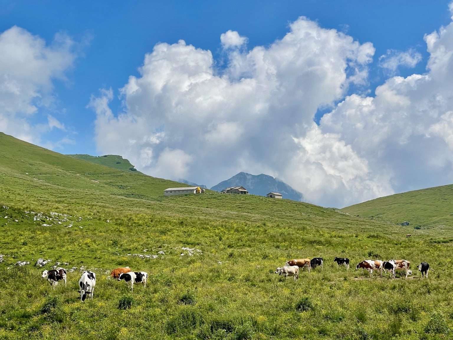 camminate sul lago di garda