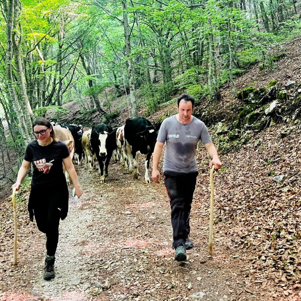 latte e formaggi del monte baldo