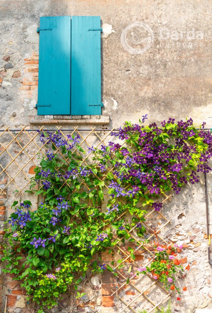 cicloturismo sul lago di garda