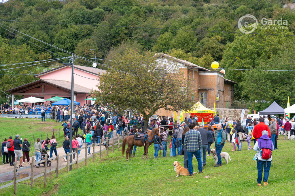 fiera di san michel prada