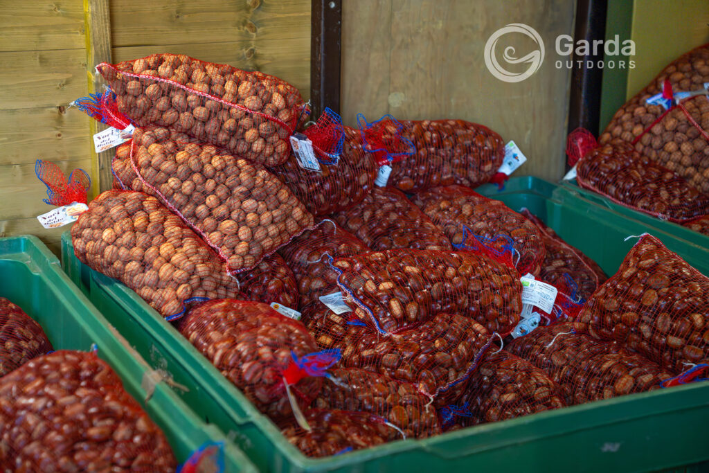 festa del marrone di san zeno dop
