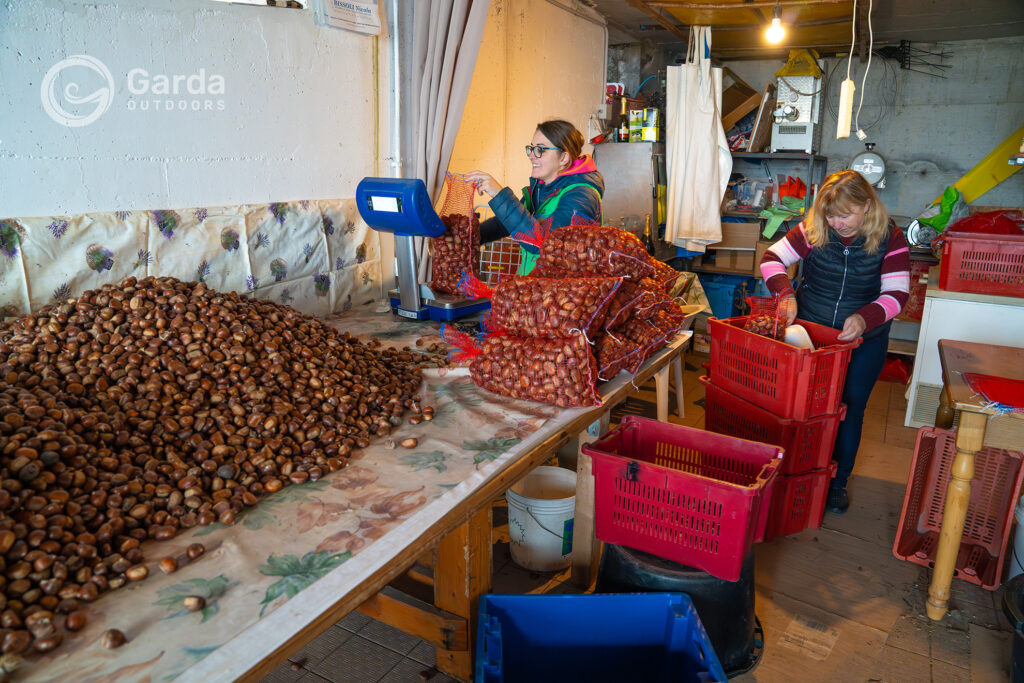 San Zeno PDO Marrons Festival