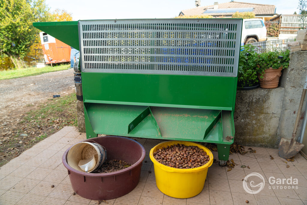 festa del marrone di san zeno dop