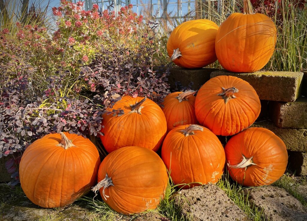 halloween sul lago di garda