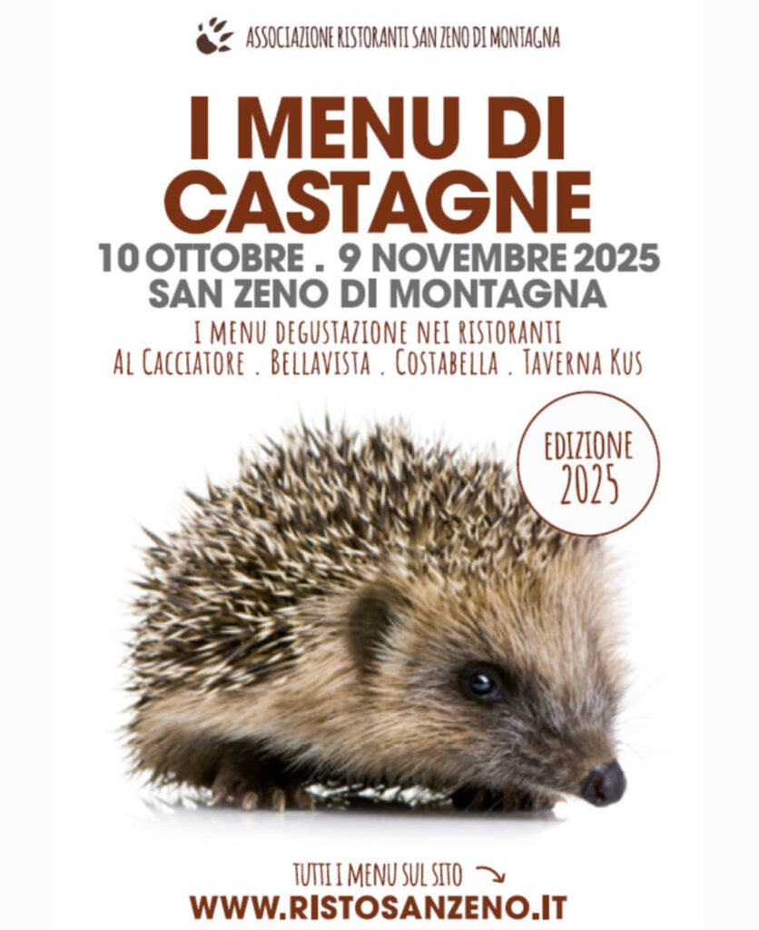 festa del marrone di san zeno dop