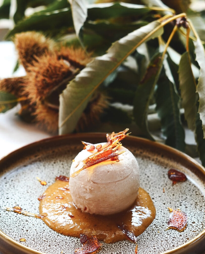 festa del marrone di san zeno dop