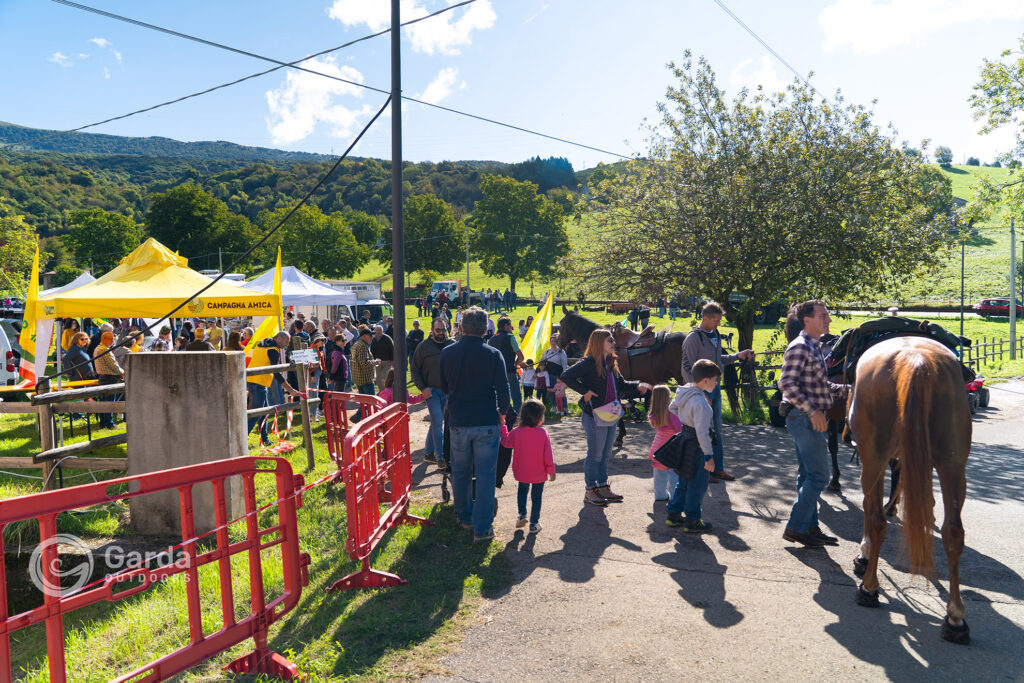 fiera di san michel prada