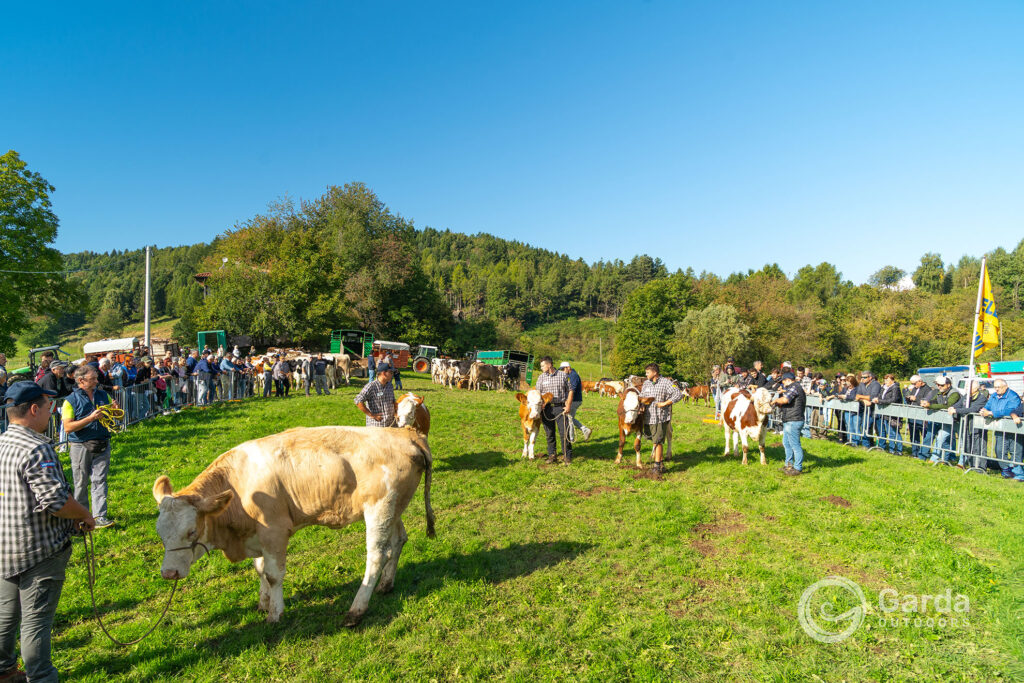 fiera di san michel prada