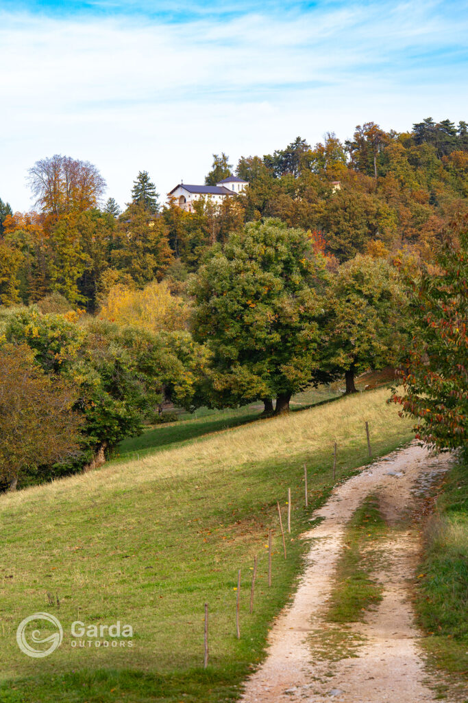 festa del marrone di san zeno dop
