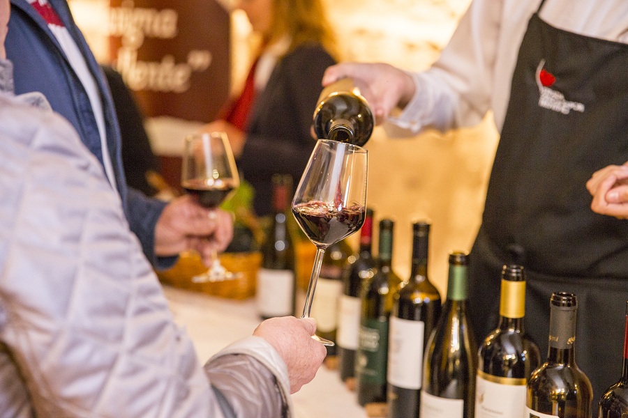 Nplus Rovereto La Vigna Eccellente: Celebrating Marzemino in Rovereto | Garda Outdoors