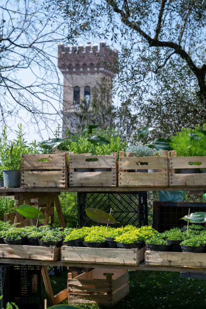 fiori nella rocca di lonato