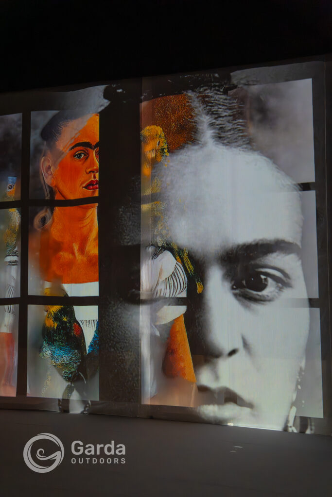 mostra frida kahlo teatro ristori verona