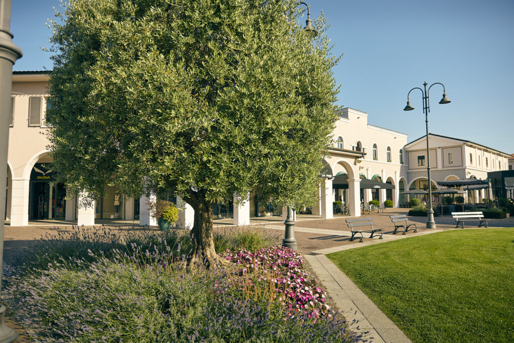 mantova village